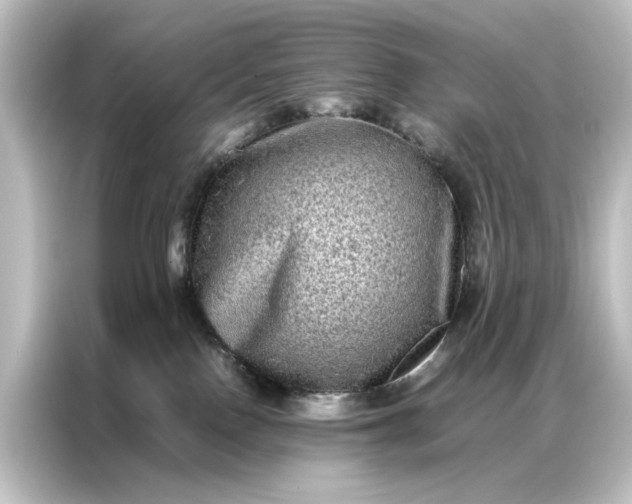 X0000087060090200705021225