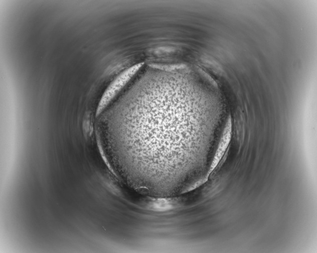 X0000087060091200705021225