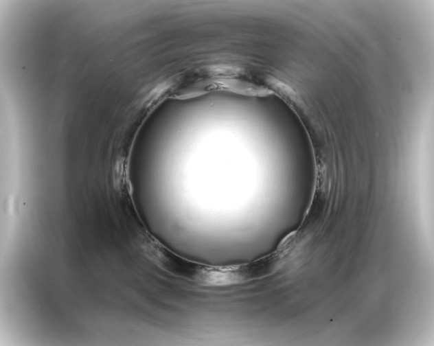 X0000087060093200705021225