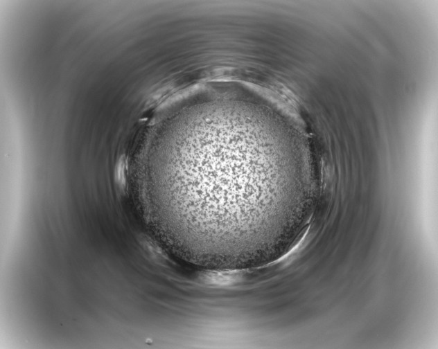 X0000087060094200705021225