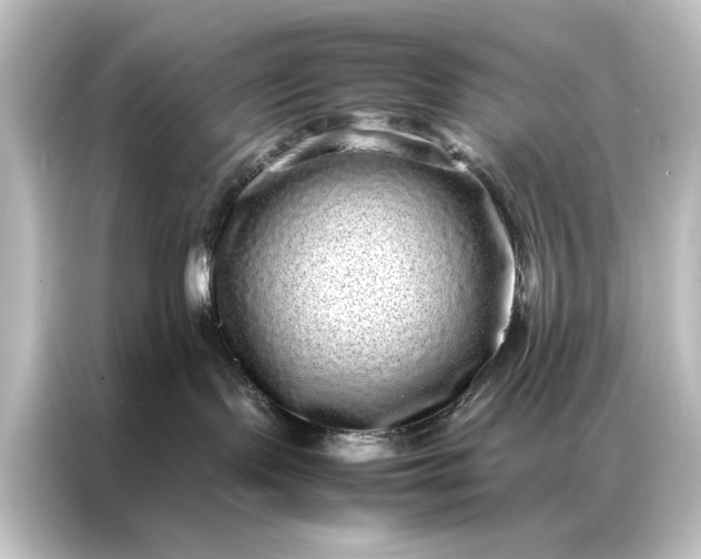 X0000087060095200705021226