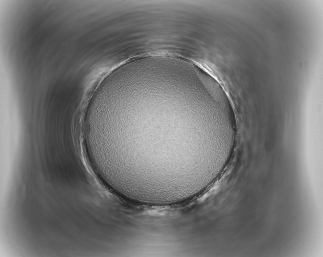 X0000087060097200705021225