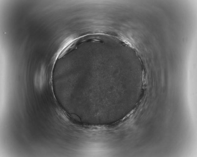 X0000087060099200705021225