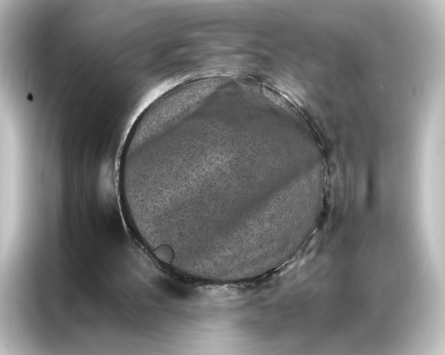 X0000087060100200705021225