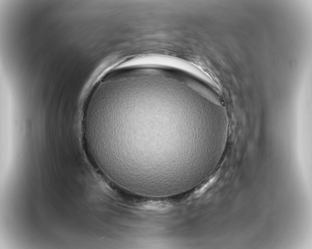 X0000087060101200705021225