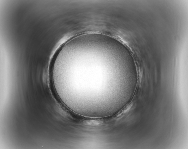 X0000087060102200705021225