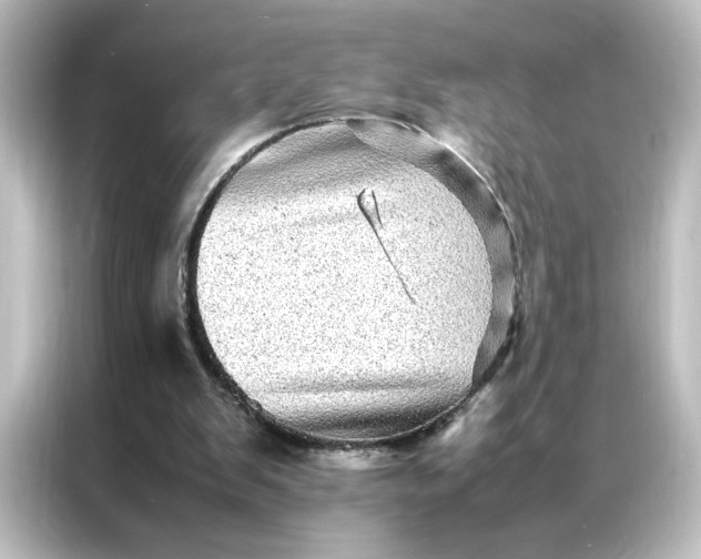 X0000087060103200705021225