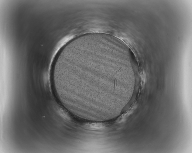 X0000087060104200705021225