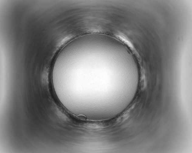 X0000087060106200705021225