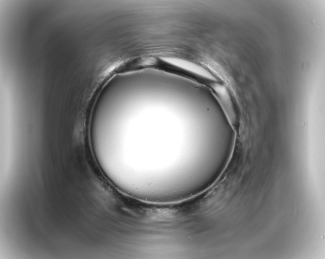 X0000087060107200705021225