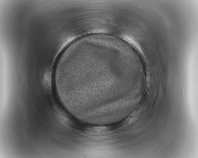 X0000087060108200705021225