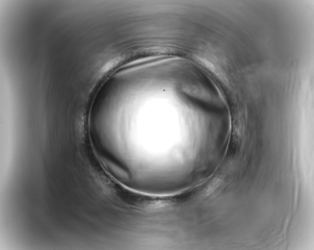 X0000087060111200705021225