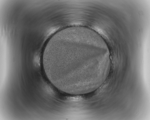 X0000087060112200705021225