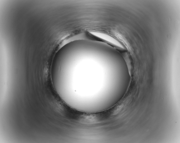 X0000087060113200705021225