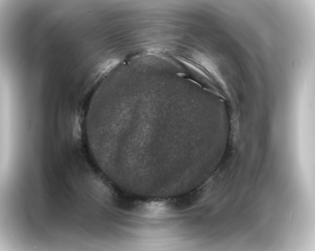 X0000087060114200705021225