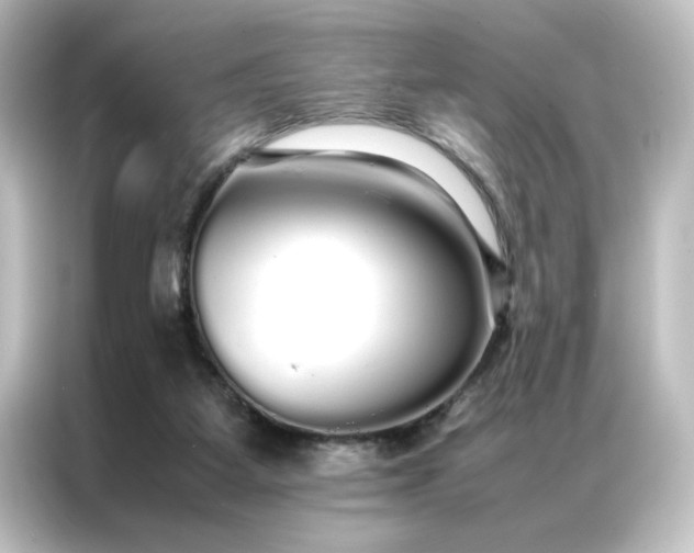 X0000087060115200705021225