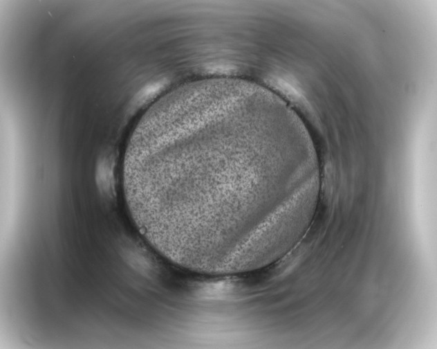 X0000087060116200705021225