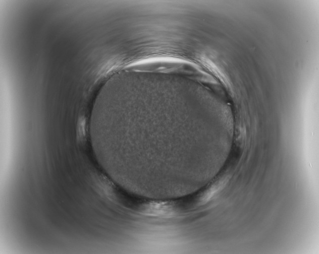 X0000087060117200705021225