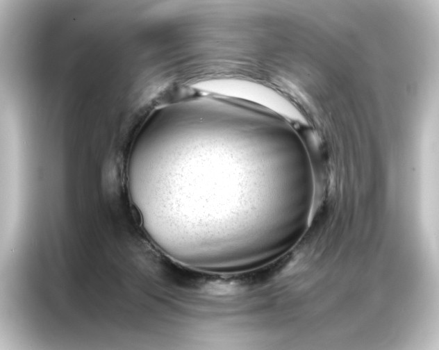 X0000087060119200705021225