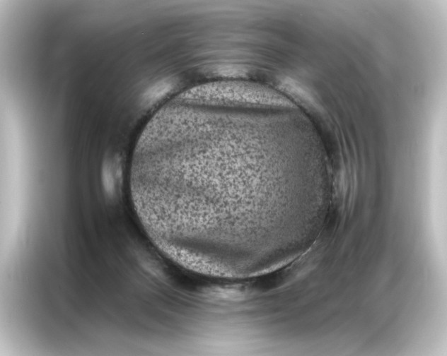 X0000087060120200705021225