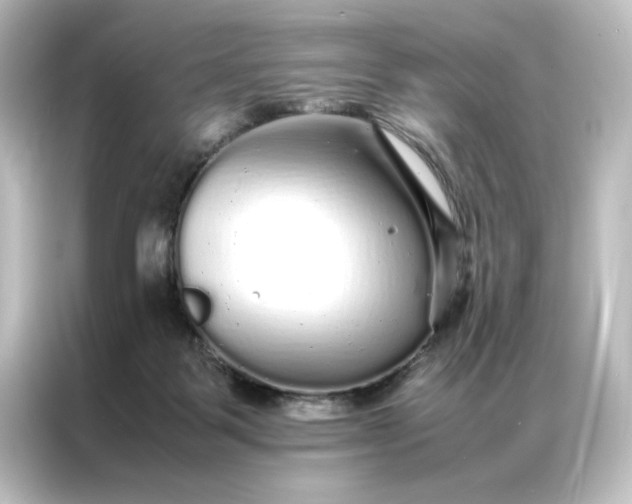 X0000087060123200705021225