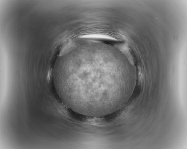 X0000087060125200705021225