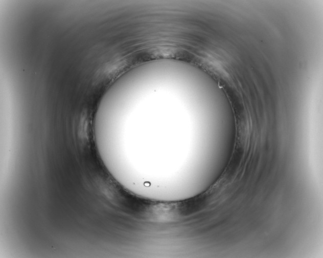 X0000087060126200705021225