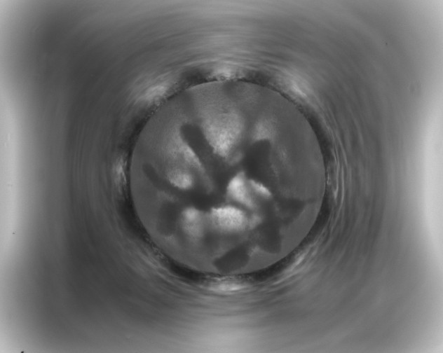 X0000087060127200705021225