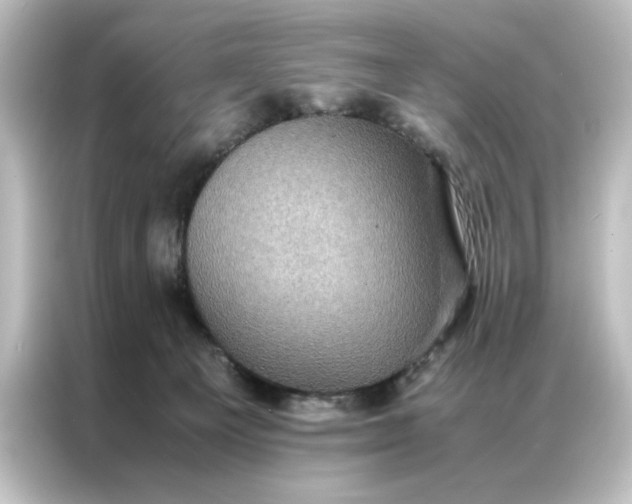 X0000087060129200705021224