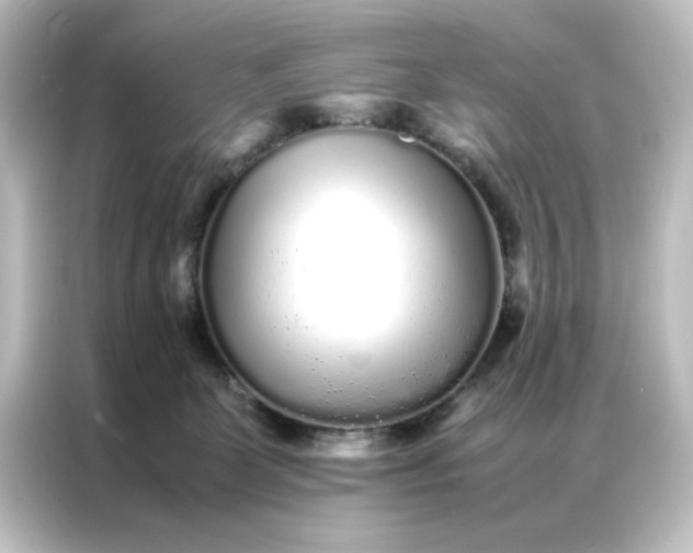 X0000087060131200705021224