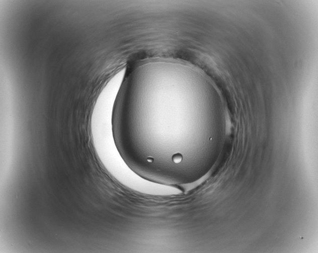 X0000087060133200705021224