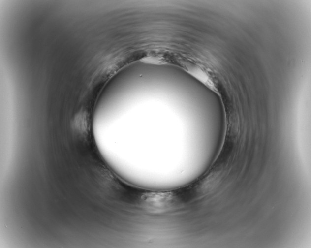 X0000087060135200705021224