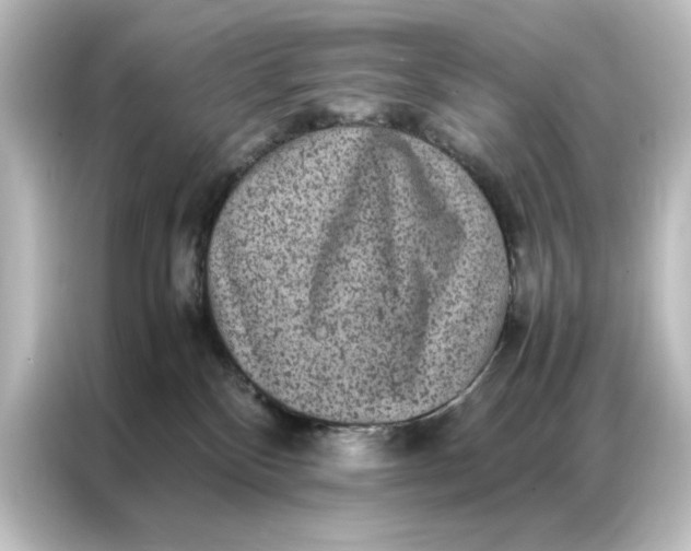 X0000087060136200705021224