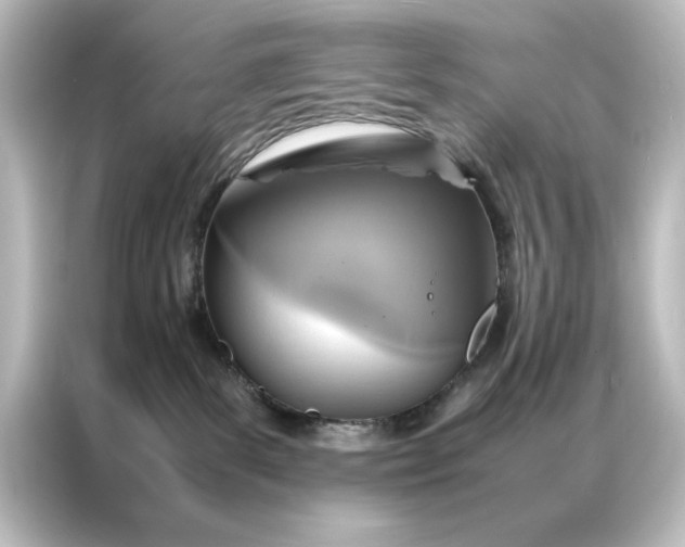 X0000087060139200705021224