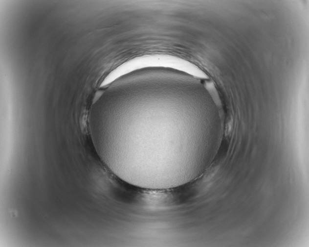 X0000087060141200705021224