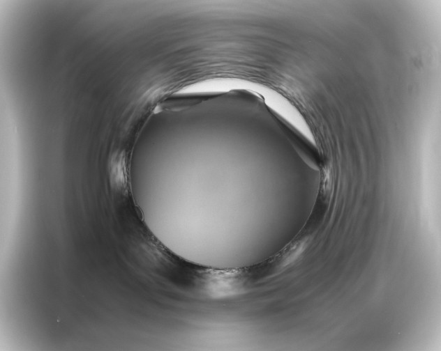 X0000087060143200705021224