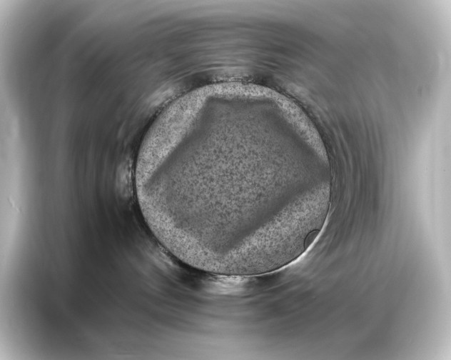 X0000087060144200705021224