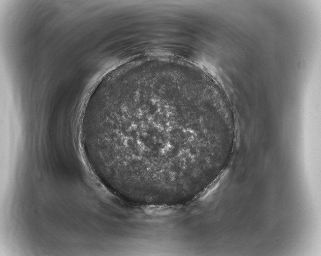 X0000087060145200705021223