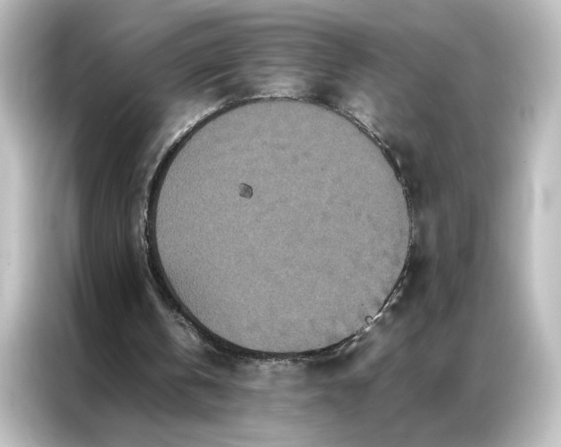 X0000087060146200705021223