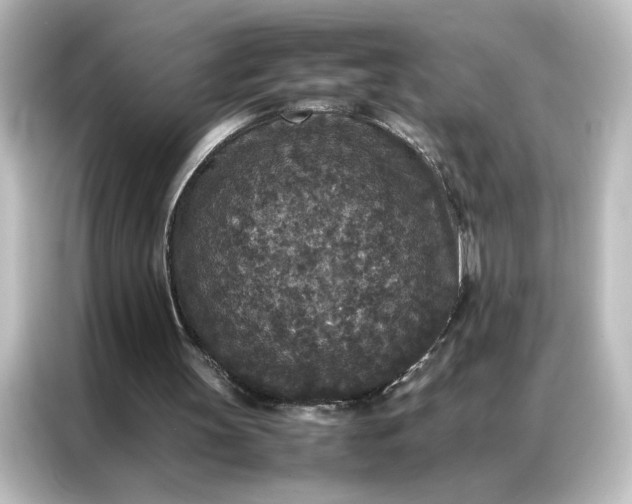 X0000087060147200705021224