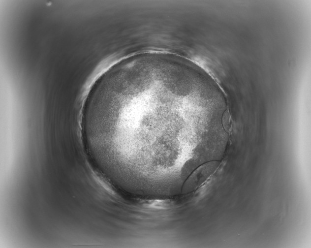 X0000087060151200705021224