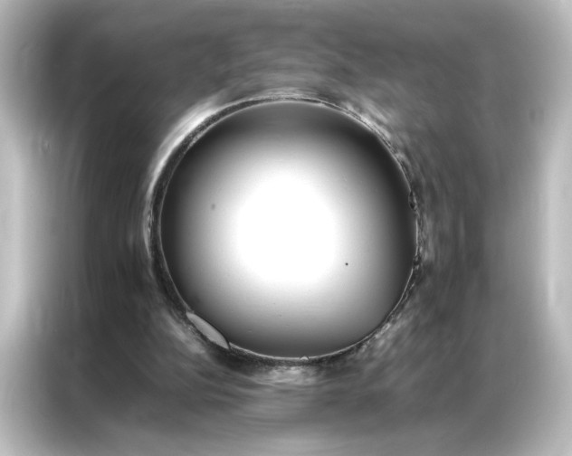 X0000087060152200705021224