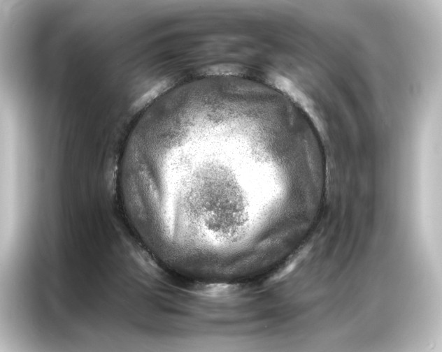 X0000087060153200705021224