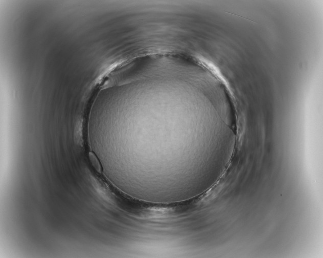 X0000087060154200705021224