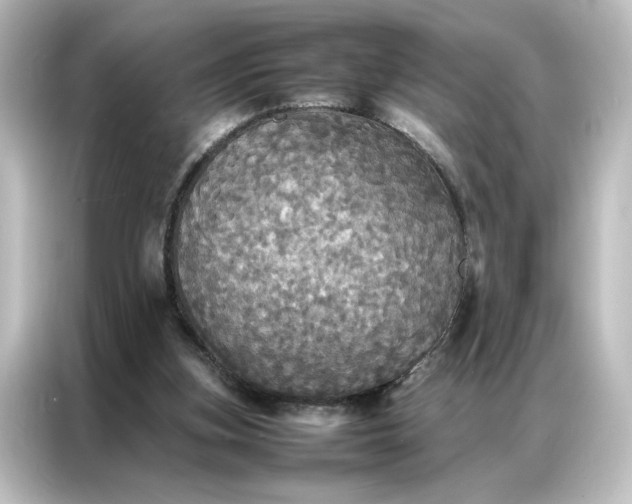 X0000087060155200705021224