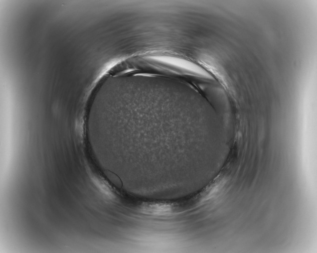 X0000087060156200705021224