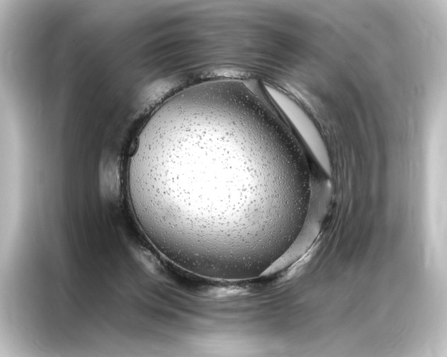 X0000087060158200705021224