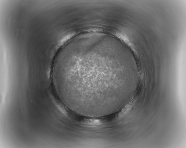 X0000087060159200705021224