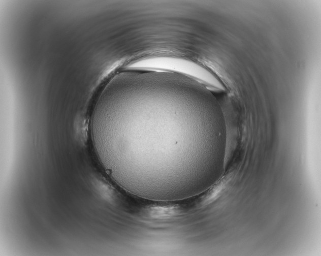 X0000087060160200705021224