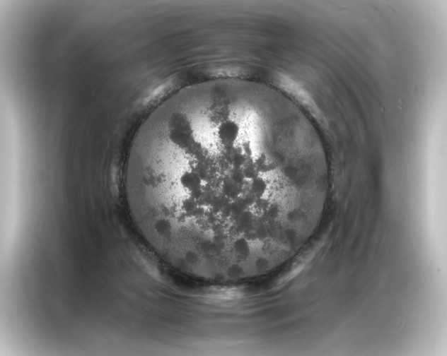 X0000087060161200705021224